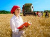 В соответствии с планом работы Контрольно-счетная палата Рязанской области проводит проверку в министерстве сельского хозяйства и продовольствия Рязанской области