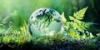 Об экспертизе государственной программы Рязанской области «Развитие водохозяйственного комплекса, лесного хозяйства и улучшение  экологической обстановки»